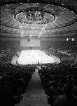Fort Worth Wings vs. Dallas Black Hawks by Al Panzera