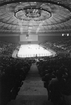 Record attendance at Fort Worth Wings ice hockey game by Al Panzera