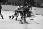 Fort Worth Wings vs. Dallas Black Hawks by Al Panzera