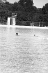 Sycamore Park Pool