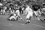University of Texas vs. University of Arkansas football by Ron Heflin