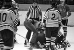 Fort Worth Amateur Hockey Association