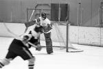 Fort Worth Amateur Hockey Association