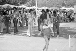 Crowd at Sycamore Park during Juneteenth festivities