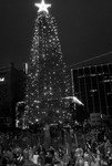Burnett Park Christmas tree