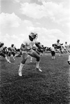 Half-back Jim Liggitt working out during University of Texas at Arlington (U. T. A.) football drills by Al Panzera
