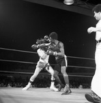 Golden Gloves Regional high school matches by Al Panzera