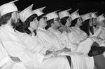UTA Nurses Graduation by Willis Knight
