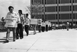UTA Picket. Organization of Arab Students. by Joe McAulay