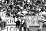 Dallas Cowboys vs. Los Angeles Rams football game by Al Panzera