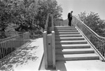 Heritage Park landscaping and architectural structures; stairs to pedestrian by Rodger Mallison