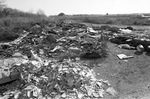 A pile of trash next to Fort Worth's Angle Avenue