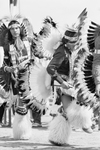 Dancers at National Championship Powwow by Rodger Mallison