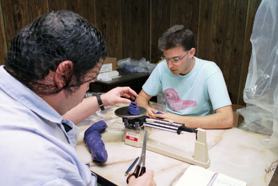 image preview