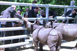 Bob Bolen, Mohan Man Sainju, Dr. Bruce Bunting, and Edward Bass at Fort Worth Zoo by Milton Adams