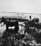 Copy negative of old photograph of rancher John Molesworth