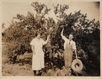 Where plums and peaches are sweeter in Tarrant County. W. M. Eagle Farm, Riverside. Ft. Worth RT 1