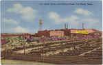 Stock Yards and Packing Plants