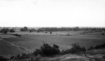 Harbor site