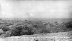 Trinity River