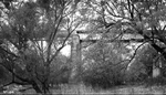Trinity River