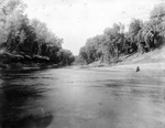 Trinity River survey