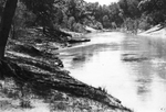 Trinity River survey