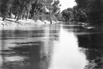 Trinity River survey