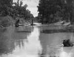 Trinity River survey