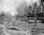 Trinity River survey