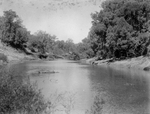 Trinity River survey