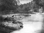 Trinity River survey