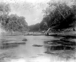 Trinity River survey