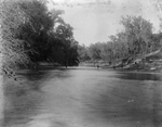 Trinity River survey