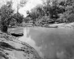 Trinity River survey
