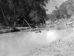 Trinity River survey