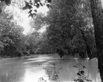 Trinity River survey