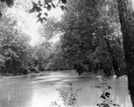 Trinity River survey