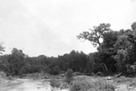 Trinity River survey