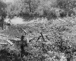 Trinity River survey