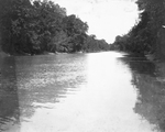 Trinity River survey
