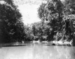 Trinity River survey