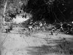 Trinity River survey