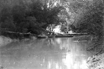 Trinity River survey