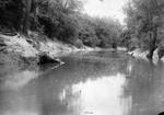Trinity River survey