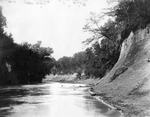Trinity River survey