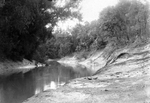 Trinity River survey