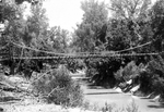Trinity River survey