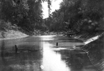 Trinity River survey
