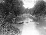 Trinity River survey